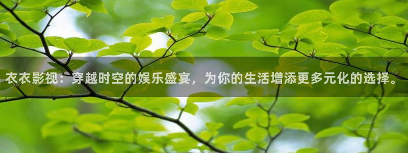 6080新视觉万达影视
