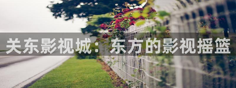 久草新视觉影院
