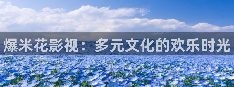 新视觉6080在线观看