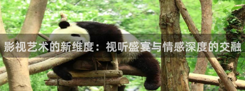 新视觉影院4410高清影院