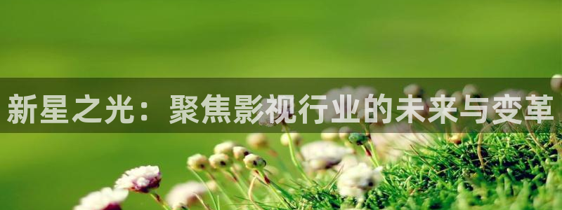 6080新视觉热门电视剧