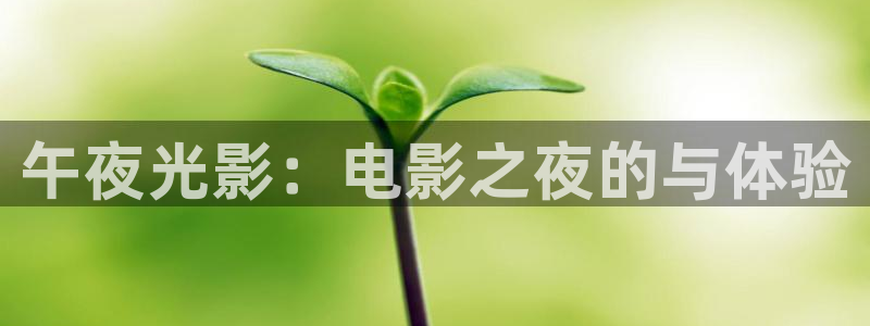 新视觉6080电影电视网
